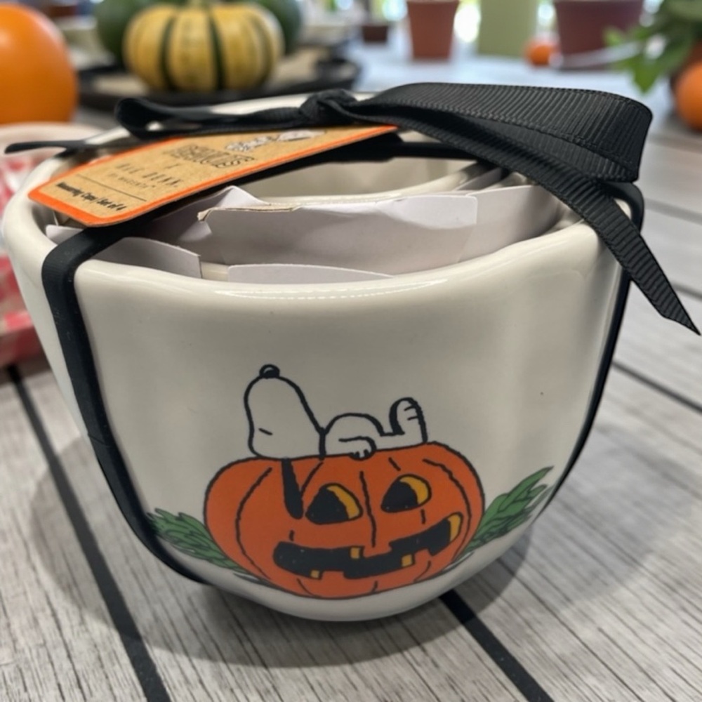 Rae Dunn Snoopy Peanuts White Halloween Pumpkin Measuring Cup Set NEW